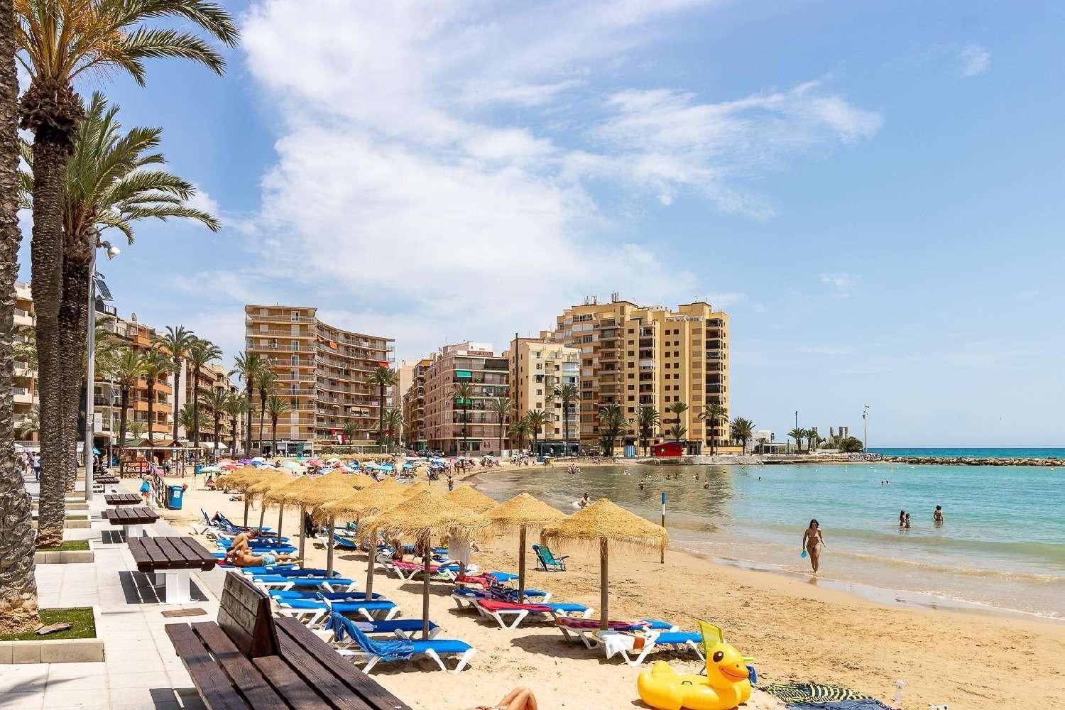 Casa Amorosa Apartment - Close To Beach, City Centre And Bus Station Торрев'єха Екстер'єр фото